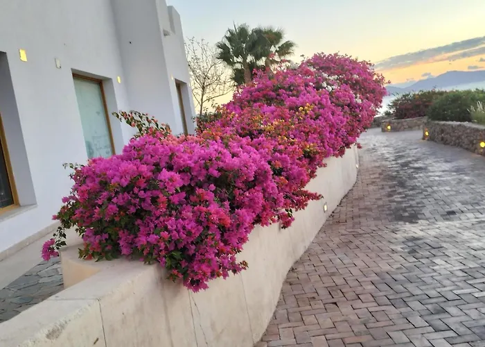 One Bedroom In Coral Bay Roby *