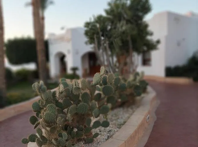 One Bedroom In Coral Bay Roby Sharm El-Sheikh